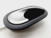 Türgriff Innen Rechts Hinten 8200310580 Renault Clio III (BR/CR) Schrägheck 1.2 16V TCe 100 (D4F-784)