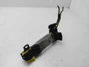 Türgriff Außen Ra 6921174020B0 Toyota Prius (ZVW3) Schrägheck 1.8 16V (2ZRFXE)