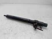 Kraftstoff-Injector A6650170121 SsangYong Rodius Großraumlimousine 2.7 270 Xdi 20V 4x2 (M665.925(Euro 4))