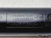 Schlauch 144609794R Renault Megane III Berline (BZ) Schrägheck 5-drs 1.2 16V TCE 115 (H5F-400(H5F-A4)) 2015