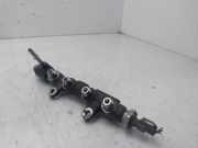 Einspritzdüsen Düsenstock 9825589880 Ford TRANSIT CONNECT Furgon 210 L2 Trend 101 CV / 74 KW