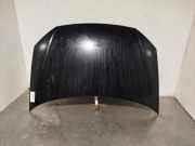 Motorhaube 6Q0823031J Volkswagen Polo IV (9N1/2/3) Schrägheck 1.4 TDI 80 (BNV) BNV