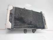 Radiator Jaguar XJ6 series I/II/III Limousine 4.2 Series II (8L)