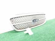 Grill 0K54G50710 Kia Carnival 2 (FIB/FLD) Großraumlimousine 2.9 HPDi 16V (J3(CRDI))