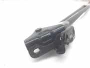 Gasdruckfedern Set Hinten 81780J7800 Kia Xceed SUV 1.6 CRDi 16V 115 (D4FE)