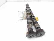 Nockenwelle 059109009BH Audi A4 BERLINA (8E) 2.5 TDI 163 CV / 120 KW