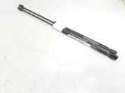Gasdruckfedern Set Hinten 1219984 Ford MONDEO BERLINA (GE) Ambiente 116 CV / 85 KW