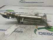 Agr Kühler 18720RBDE00 Honda Accord (CL/CN) Limousine 2.2 i-CTDi 16V (N22A1)