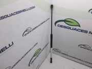 Gasdruckfeder Set Vorne 24465295 Opel H BERLINA 1.7 16V CDTI CAT (Z 17 DTL / LRB) 80 CV / 59 KW