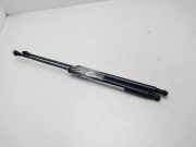 Gasdruckfedern Set Hinten 51247239871 BMW 1 serie (F20) Schrägheck 5-drs 116d 1.5 12V TwinPower (B37-D15A)