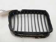Grill 8195055 BMW 3 serie (E46/4) Limousine 320d 16V (M47-D20(204D1))