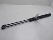 Gasdruckfedern Set Hinten 817701D010 Kia Carens III (FG) Großraumlimousine 2.0 CRDI VGT 16V (D4EA)