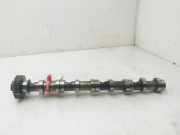 Nockenwelle 03L101 Skoda Fabia II Kombi Kombi 5-drs 1.6 TDI 16V 75 (CAYA)