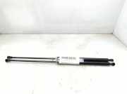Gasdruckfedern Set Hinten 9652151280 Citroën C6 (TD) Limousine 2.7 HDiF V6 24V (DT17TED4(UHZ))