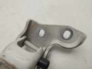 Scharniere 01385927080 Fiat Ducato (250) Van 2.3 D 120 Multijet (F1AE0481D)