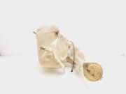 Scheibenwaschbehälter MR108593 Mitsubishi Carisma Limousine 1.9 TD (F8QT)