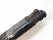 Gasdruckfedern Set Hinten 8200377199 Renault Scénic II (JM) Großraumlimousine 1.9 dCi 120 (F9Q-812)