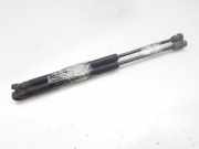 Gasdruckfedern Set Hinten 96540939 Daewoo / Chevrolet Kalos (SF69) Limousine 1.4 (F14S3)