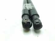 Gasdruckfedern Set Hinten 8V41S406A10AD Ford Kuga I SUV 2.0 TDCi 16V (G6DG)