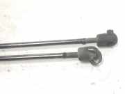 Gasdruckfedern Set Hinten 8200616559 Renault SCENIC II Grand Luxe Dynamique 131 CV / 96 KW