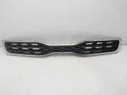 Grill 863511W210 Kia Rio III (UB) Schrägheck 1.2 CVVT 16V (G4LA5)