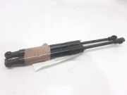 Gasdruckfedern Set Hinten 51247191255 BMW Z4 Roadster (E89) Cabrio sDrive 20i 2.0 16V (N20-B20A)