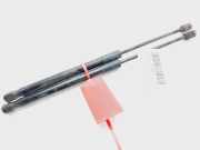 Gasdruckfedern Set Hinten 51237329410 BMW X1 (F48) SUV sDrive 16d 1.5 12V TwinPower (B37-C15A)