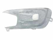 Grill 9814362680 Citroën C4 Picasso (3D/3E) Großraumlimousine 1.6 BlueHDI 120 (DV6FC(BHZ))