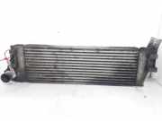 Ladeluftkühler 8200700172 Renault Scénic II (JM) Großraumlimousine 1.9 dCi 130 (F9Q-818)