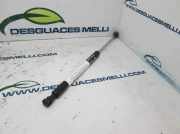 Gasdruckfedern Set Hinten 7700815135 Renault (CO6) 1.2 Expression (C068/6C/6D) 58 CV / 43 KW