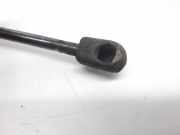 Gasdruckfeder Set Vorne 1M0823359A Seat Leon (1M1) Schrägheck 5-drs 1.9 TDI 150 Cupra (ARL)