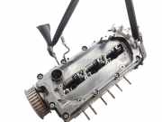 Zylinderkopf 0593C Audi A5 (8T3) Coupé 3.0 TDI V6 24V Quattro (CCWA)