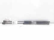 Gasdruckfedern Set Hinten 7700828451 Renault Megane (BA) Schrägheck 5-drs 1.9dCi (F9Q-732)