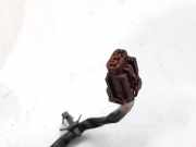 Türgriff Außen Rechts Vorne 806067M208 Nissan Almera (N16) Schrägheck 2.2 Di 16V (YD22DDT)