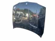 Motorhaube 41003449411 BMW (E83) 3.0sd 286 CV / 210 KW