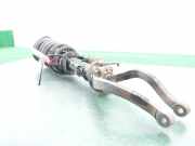 Stoßdämpfer Links Vorne 546113F300 Kia Opirus Limousine 3.5 V6 24V (6GCU)