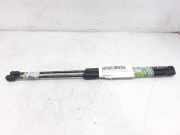 Gasdruckfedern Set Hinten A1769800264 Mercedes-Benz A (W176) Schrägheck 1.6 A-180 16V (M270.910)