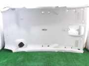 Verkleidung Himmel 1724183 Ford Grand C-Max (DXA) Großraumlimousine 1.6 TDCi 16V (T1DA)