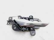 Türgriff Innen Links Hinten J9C322601AF Jaguar E-Pace SUV 2.0 D 180 16V AWD (204DTD(AJ20D4))