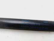 Gasdruckfeder Set Vorne 3G0823359A Volkswagen Passat (3G2) Limousine 2.0 TDI 16V 150 (CRLB) CRLB