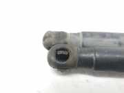 Gasdruckfedern Set Hinten 8177007010 Kia Picanto (BA) Schrägheck 1.1 12V (G4HG)