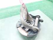 Achsschenkel Halter Links Hinten 33321095239 BMW (E53) 3.0d 184 CV / 135 KW