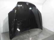 Motorhaube 651000021R Renault Laguna III (BT) Schrägheck 5-drs 2.0 dCi 16V 130 (M9R-744)