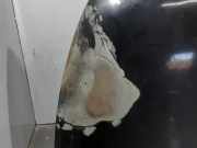 Motorhaube 5900A129 Mitsubishi Grandis (NA) Großraumlimousine 2.0 DI-D 16V (BSY)