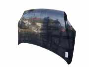 Motorhaube 664001F010 Kia Sportage (JE) Geländewagen 2.0 CVVT 16V 4x2 (G4GC)