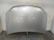 Motorhaube 6R0823031G Volkswagen Polo V (6R) Schrägheck 1.6 TDI 16V 75 (CAYA) CAYA