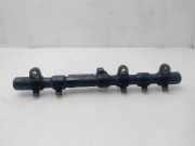 Einspritzdüsen Düsenstock A6650700295 SsangYong Rodius Großraumlimousine 2.7 270 Xdi 20V 4x2 (M665.925(Euro 4))