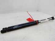 Gasdruckfedern Set Hinten 4L0827552 Audi Q7 (4LB) SUV 4.2 TDI V8 32V (BTR)