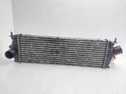 Ladeluftkühler 8200411160C Nissan Primastar Van 2.0 dCi 150 (M9R-717)