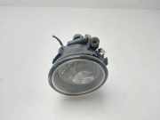 Nebelscheinwerfer Links Vorne 63177374145 BMW (F15) xDrive25d 218 CV / 160 KW